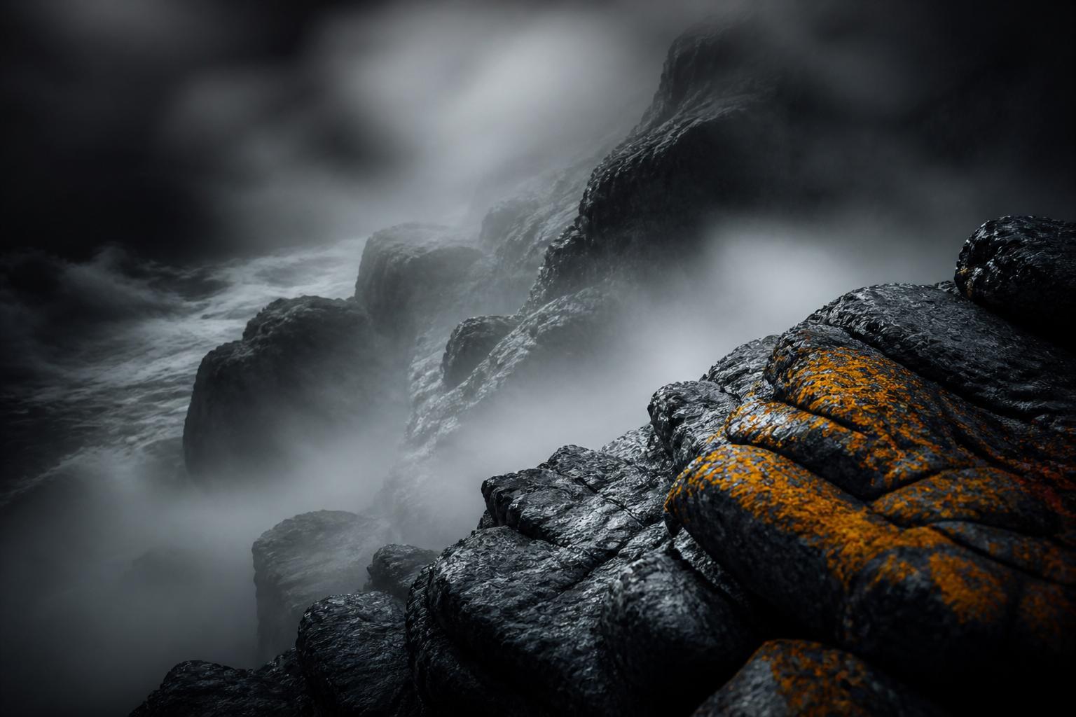 Regulatory Void: What Eight Months of Silence Tells You About Fraud Enforcement