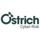 Ostrich Cyber-Risk