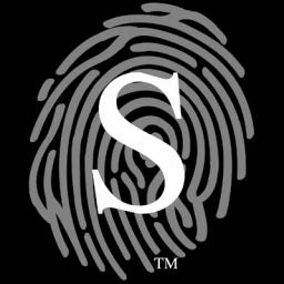 Stern Security logo